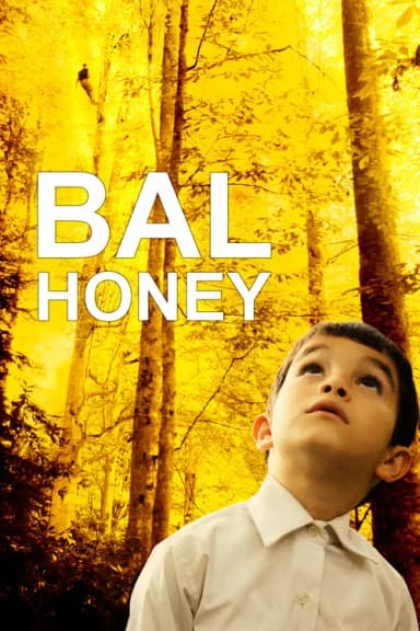 Honey (2010)