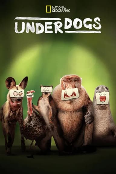 Underdogs (2025)
