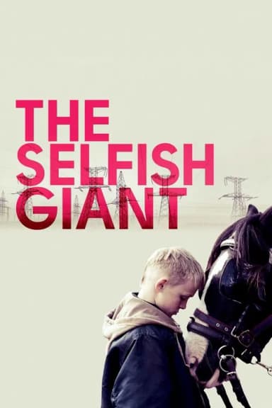The Selfish Giant (2013)