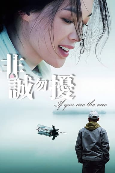 If You Are the One (2008)