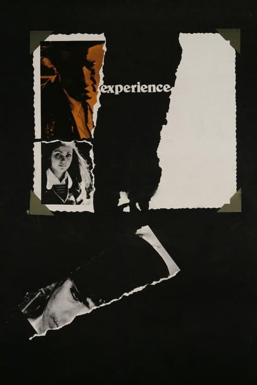 The Experience (1973)
