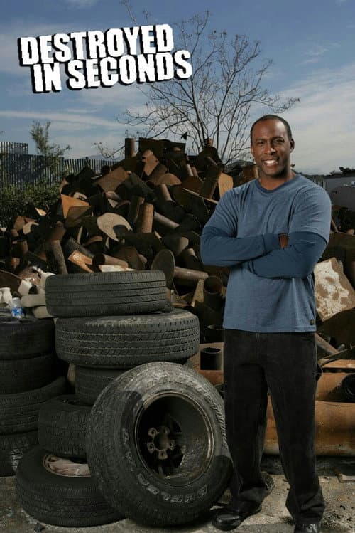 Destroyed In Seconds (2008)