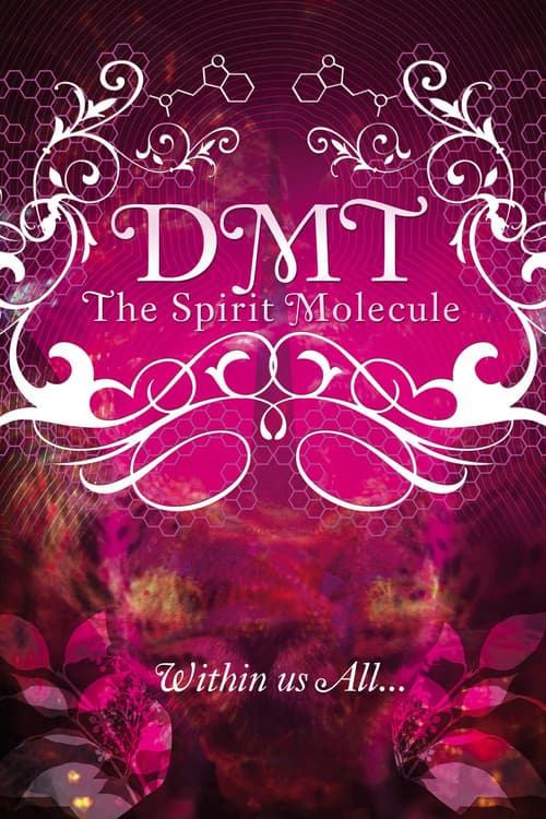 DMT: The Spirit Molecule (2010)