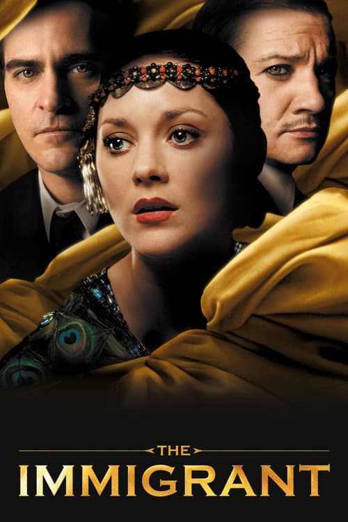The Immigrant (2013)