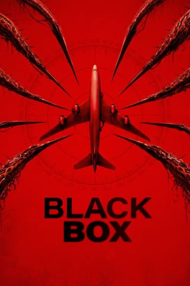 Black Box (Flight 298) (2026)
