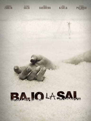 Under the Salt (2008)
