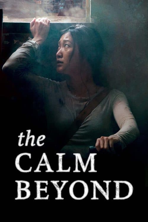 The Calm Beyond (2020)