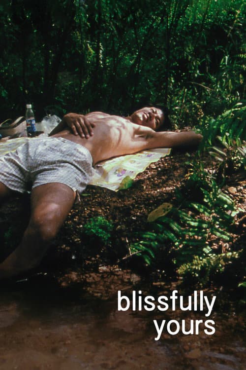 Blissfully Yours (2002)