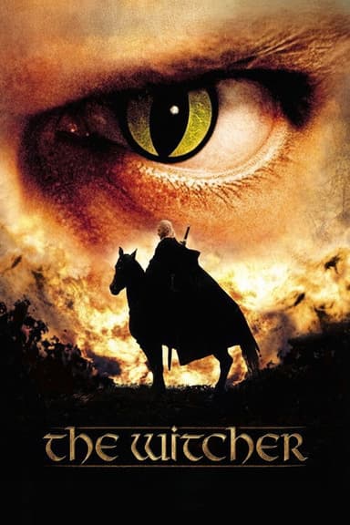 The Witcher (2002)