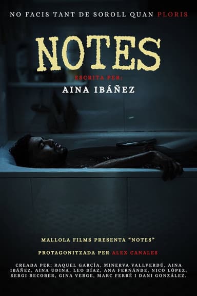 Notes (2026)