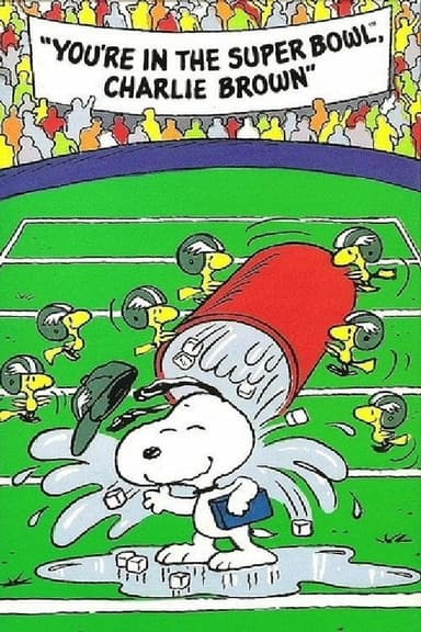 You're in the Super Bowl, Charlie Brown! (1994)