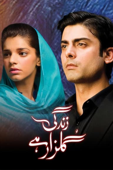 Zindagi Gulzar Hai (2012)
