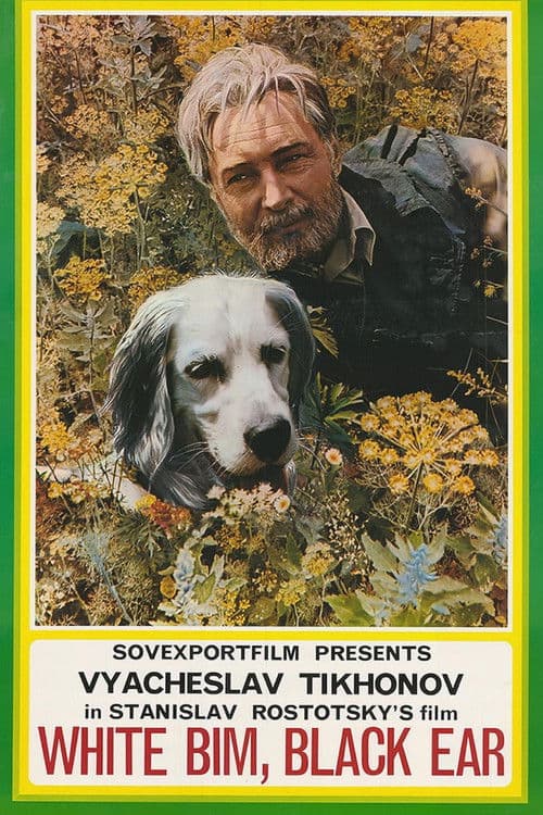 White Bim Black Ear (1977)