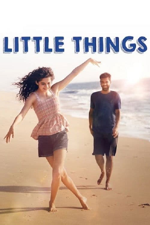 Little Things (2016)