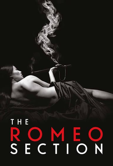 The Romeo Section (2015)