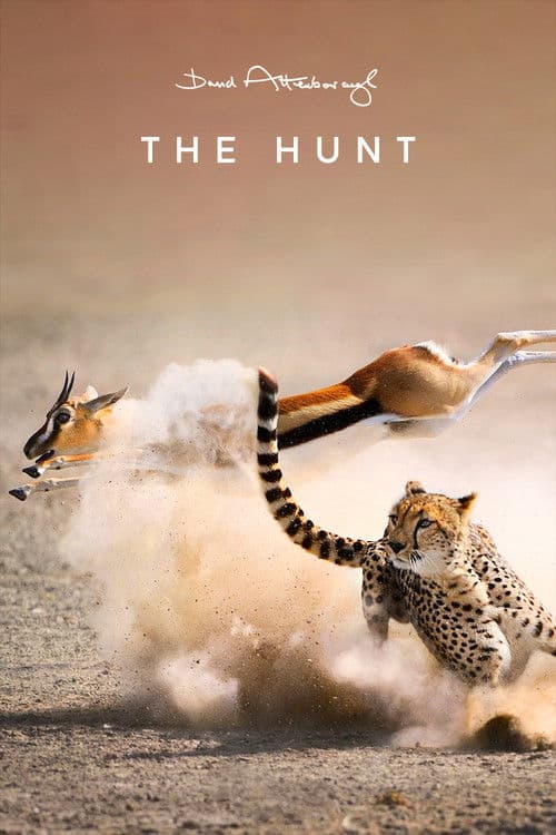 The Hunt (2015)