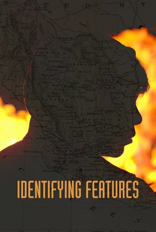 Identifying Features (2020)