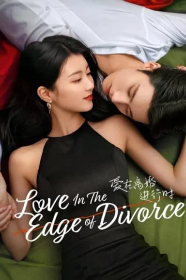 Love in the Edge of Divorce (2025)