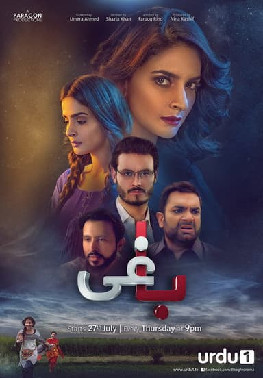 Baaghi (2017)