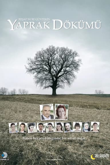 Falling Leaves (2006)