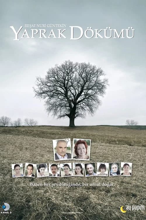 Falling Leaves (2006)