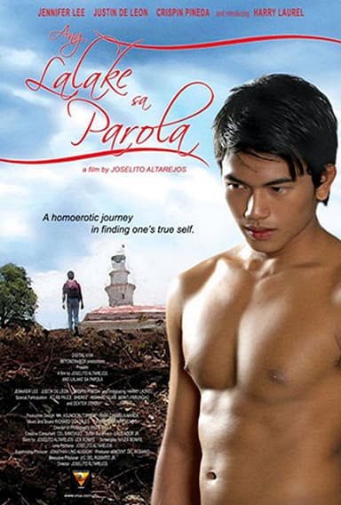 The Man in the Lighthouse (2007)