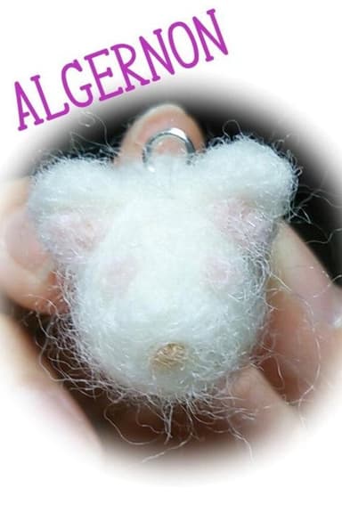 Flowers for Algernon (2015)