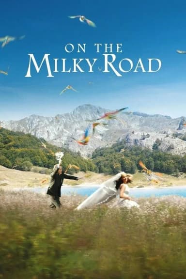 On the Milky Road (2016)