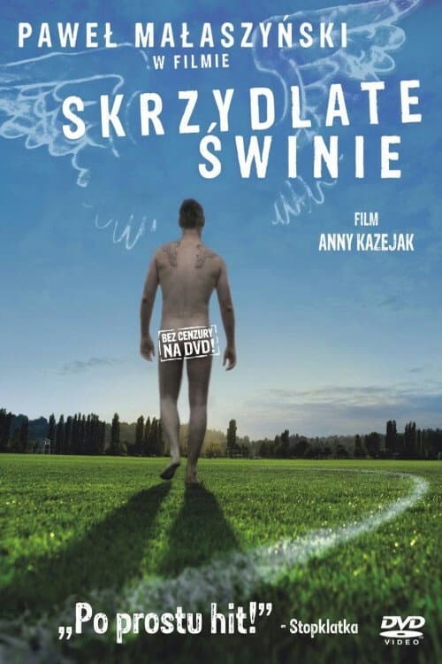 Flying Pigs (2010)