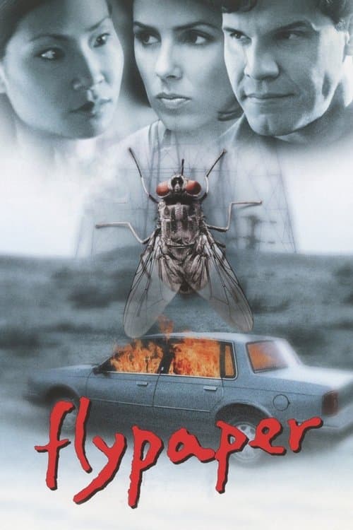 Flypaper (1999)