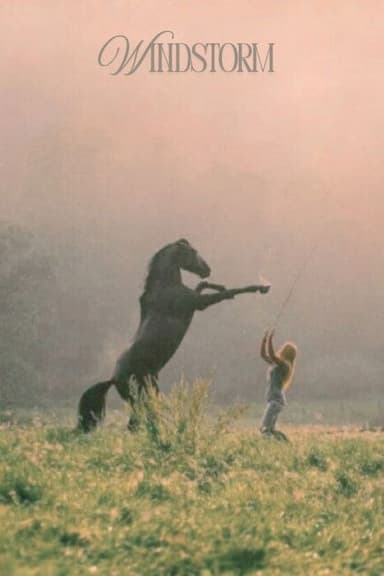 Windstorm (2013)