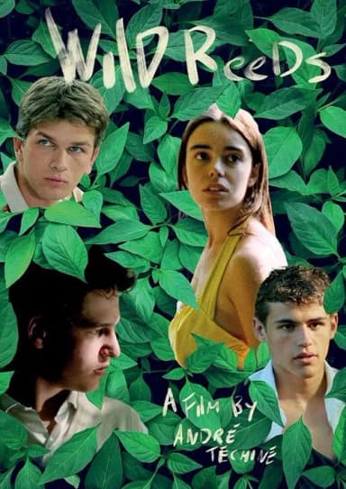 Wild Reeds (1994)