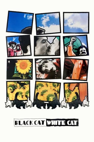 Black Cat, White Cat (1998)