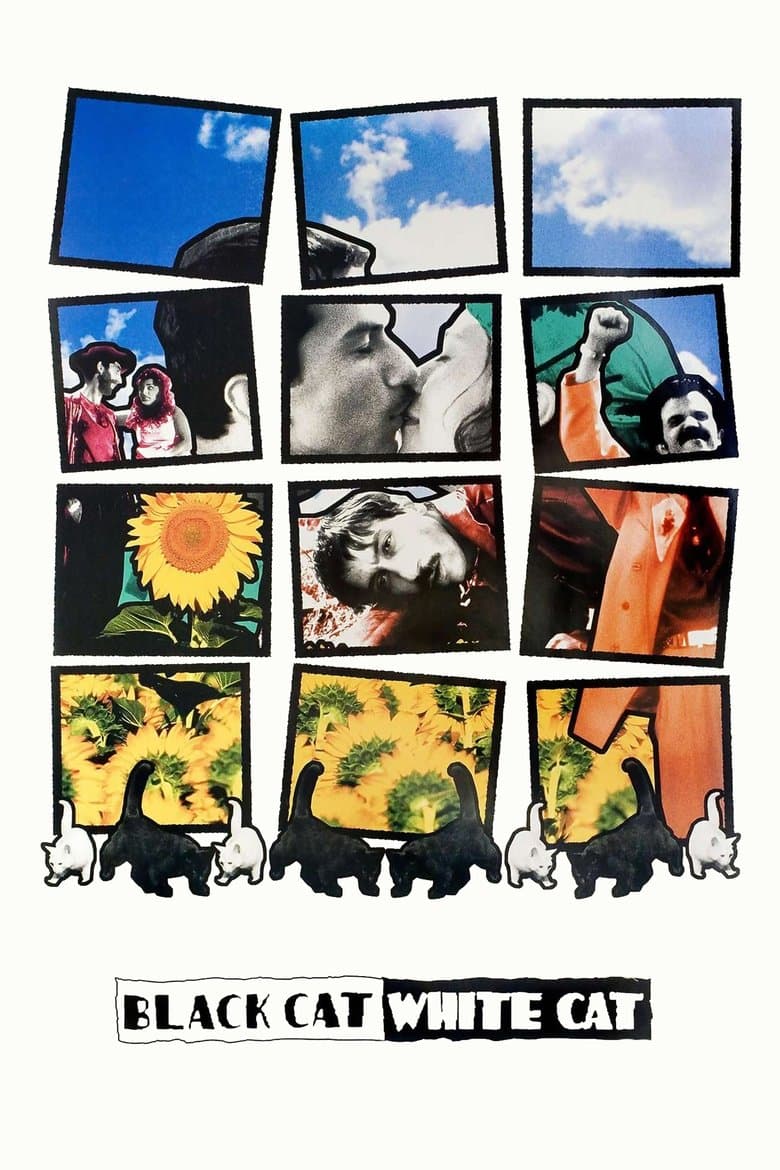 Black Cat, White Cat (1998)