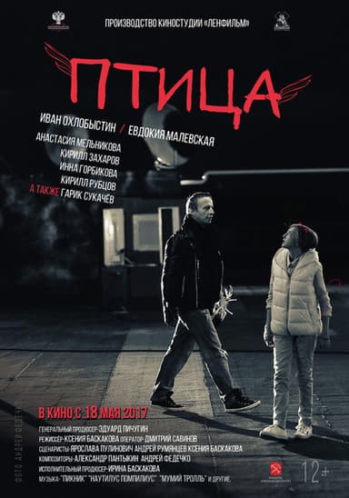 The Bird (2017)