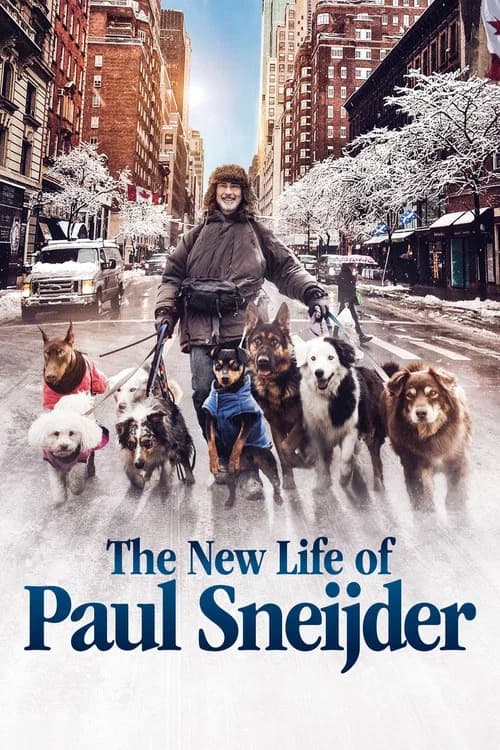 The New Life of Paul Sneijder (2016)