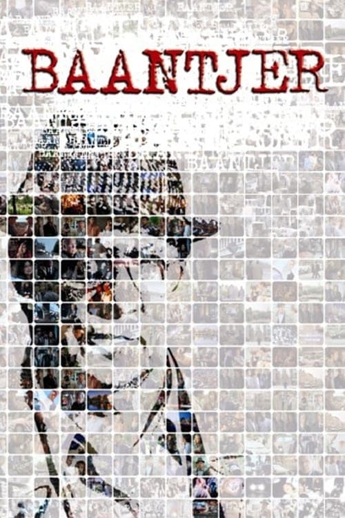 Baantjer (1995)