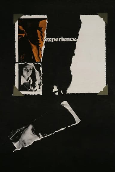The Experience (1973)