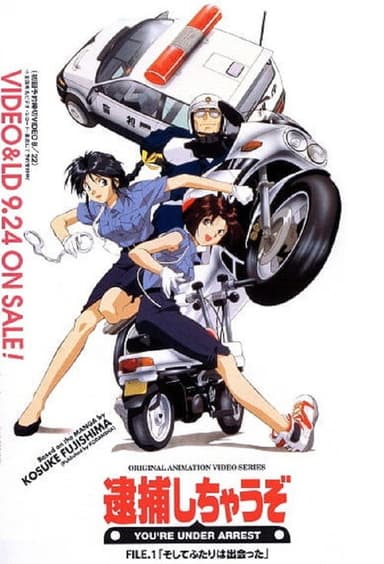You're Under Arrest (1996)
