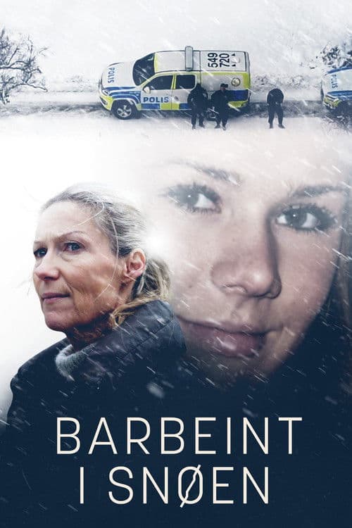 Barbeint i Snøen (2026)
