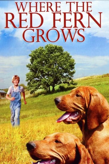 Where the Red Fern Grows (1974)