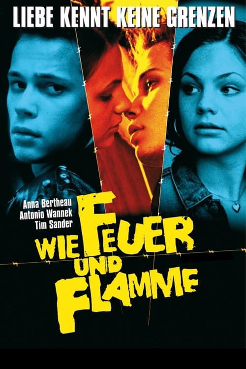 Never Mind the Wall (2001)