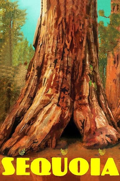 Sequoia (2014)