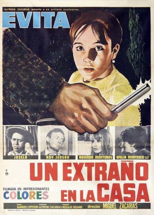 Stranger in the House (1968)