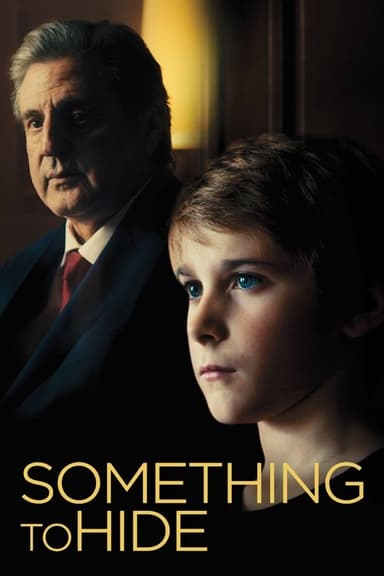 Something to Hide (2020)