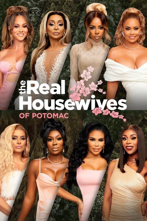 The Real Housewives of Potomac (2016)