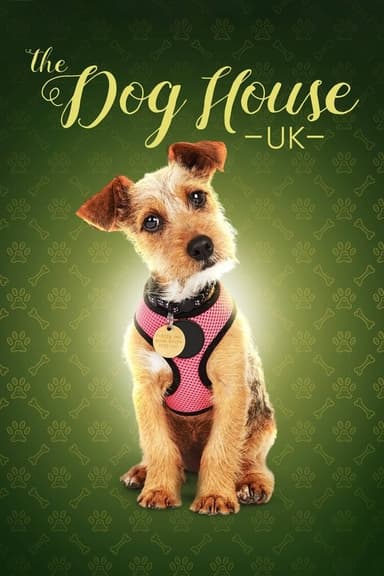 The Dog House (2019)