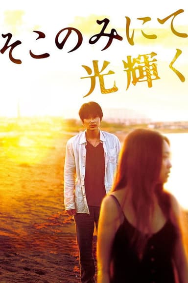 The Light Shines Only There (2014)
