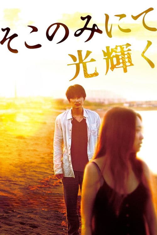 The Light Shines Only There (2014)