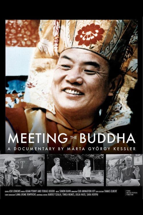 Meeting the Buddha (2026)